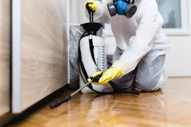 Best Residential Pest Control  in Ravenna, NE