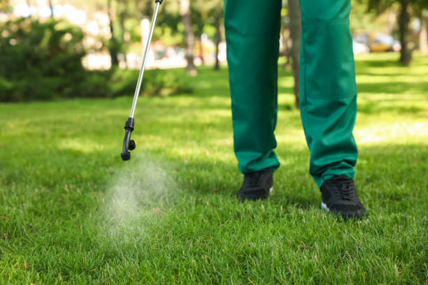 Best Wasp Removal Services  in Ravenna, NE