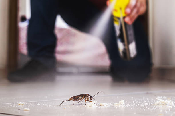 Best Local Pest Control Services  in Ravenna, NE