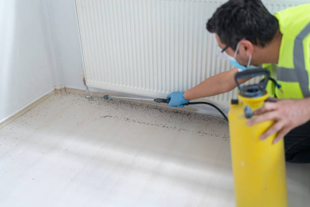 Best Pest Removal Services  in Ravenna, NE